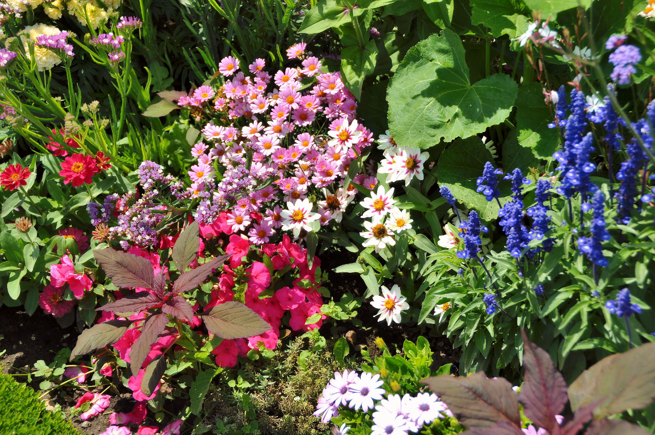 Blumen- und Farbenvielfalt