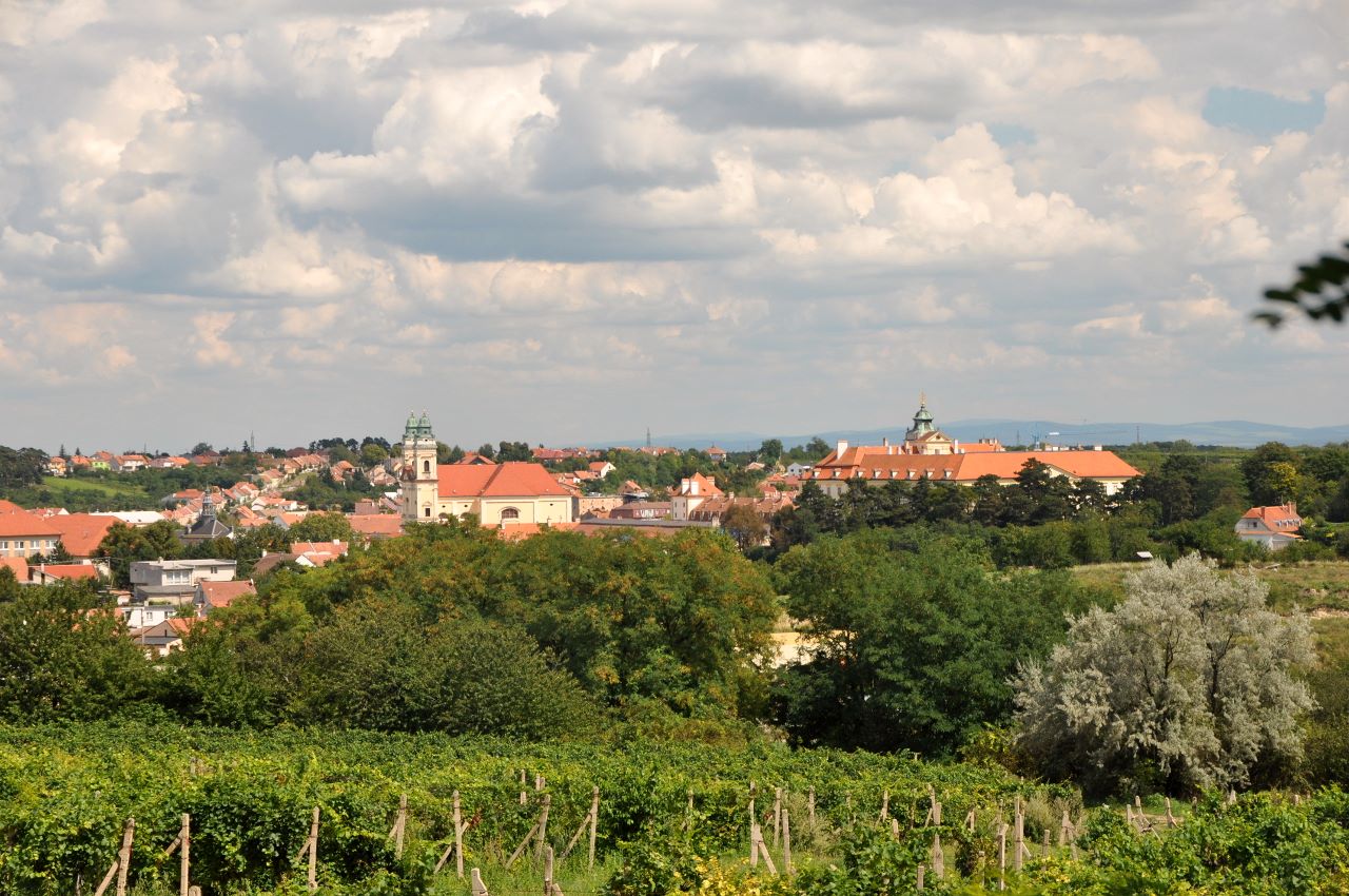 Durch die Weingärten wandert man ca. 1 km zur Kolonnade, den Ort Valtice immer in Sichtweite