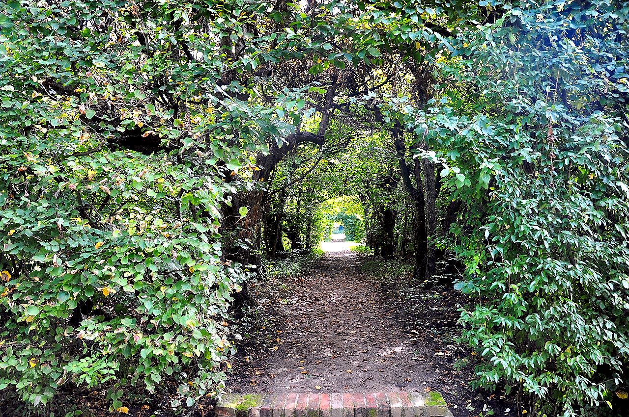 Romantische Laubengänge an beiden Seiten des Schlossgartens