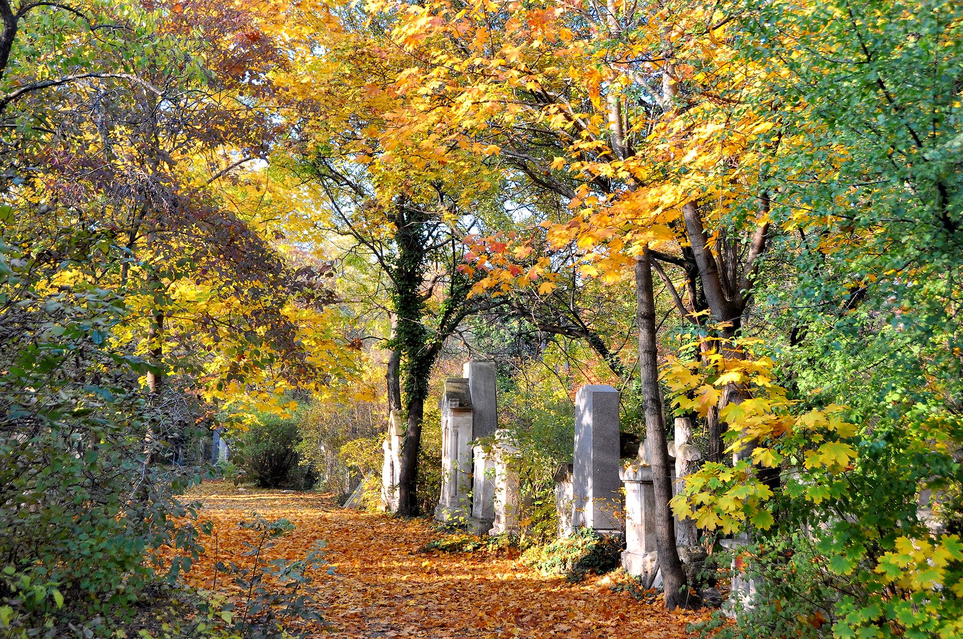 Friedhof St. Marx im Herbst
