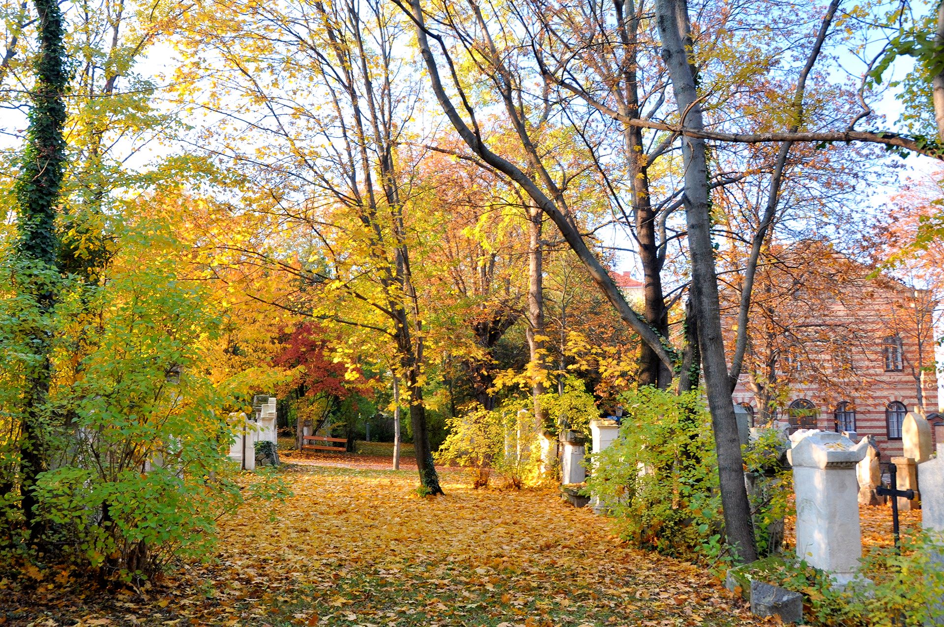 Friedhof St. Marx im Herbst