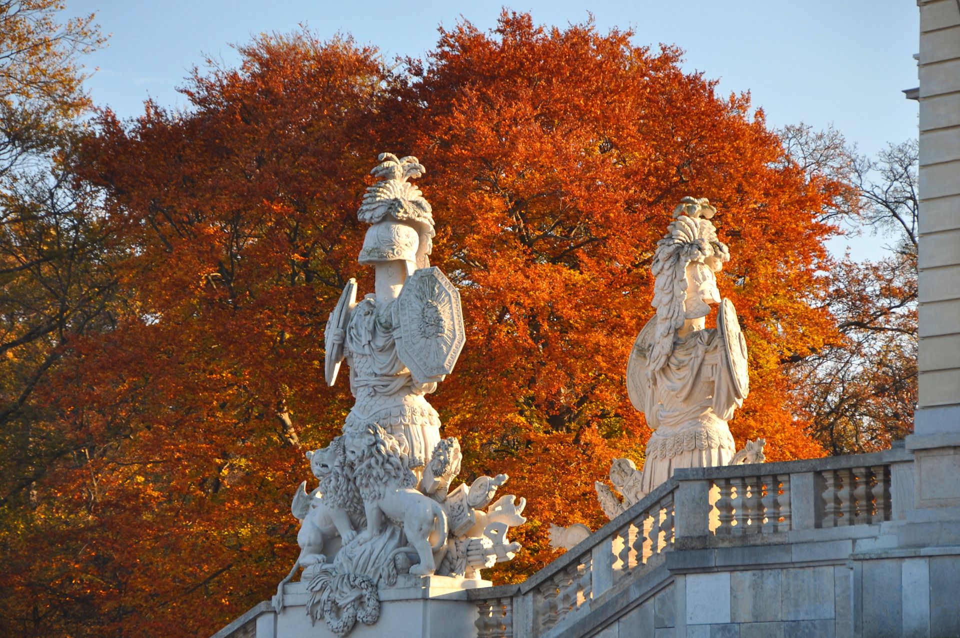 Wundervoller Herbsttag bei der Gloriette vom Schloss Schönbrunn