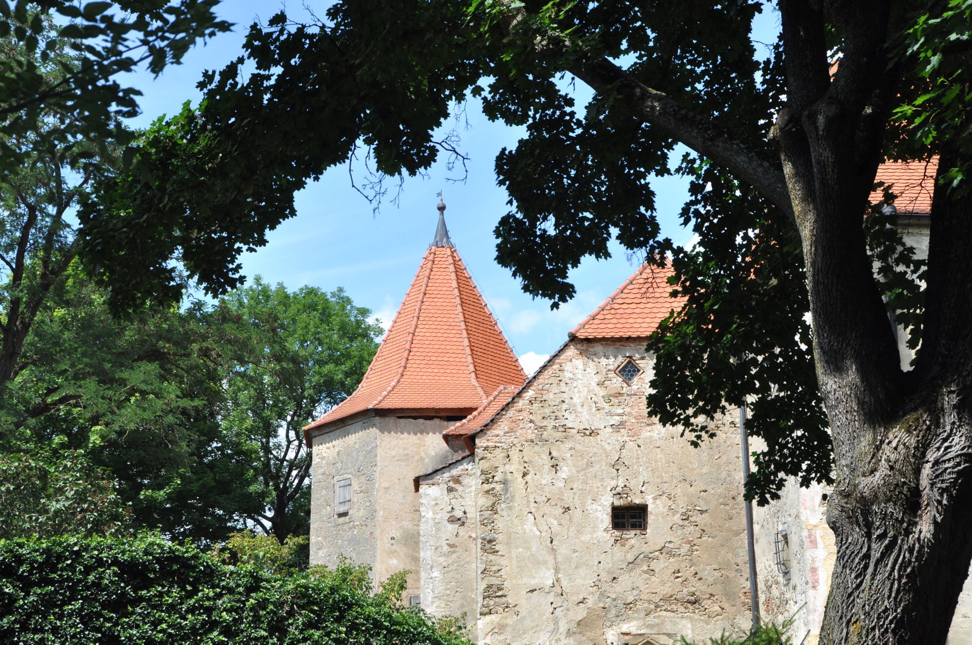 Burg Cuknštejn