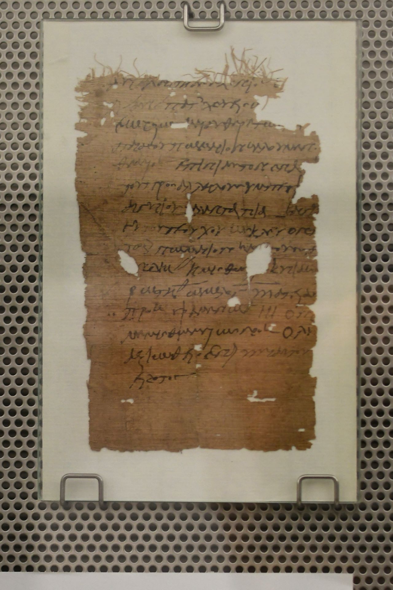 Aurelia Cahrite, Pachtvertrag für Obstgarten (Hermupolis, 350-320)