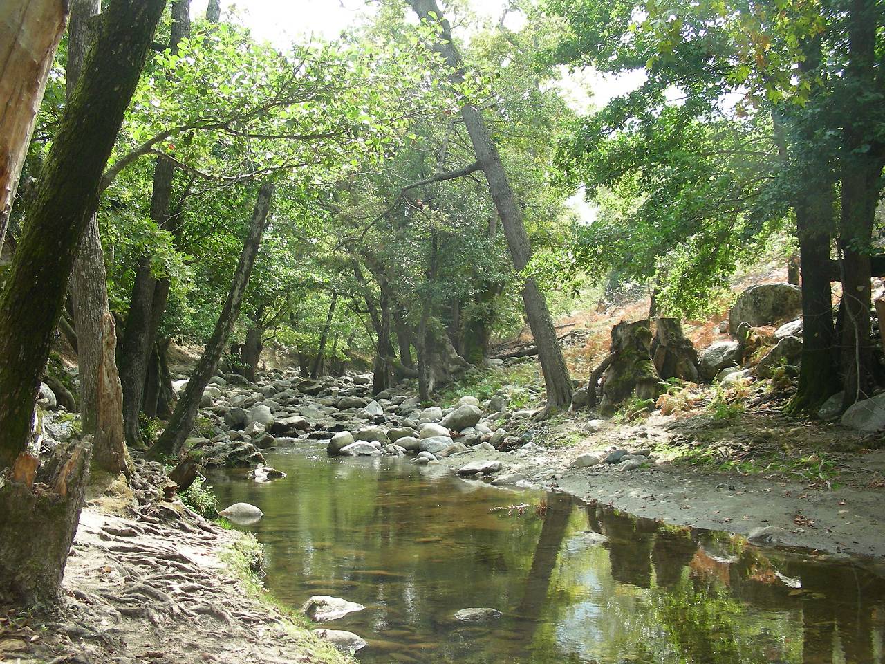 Wo Wasser ist, ist auch saftiges Grün (Nordseite Samothraki)