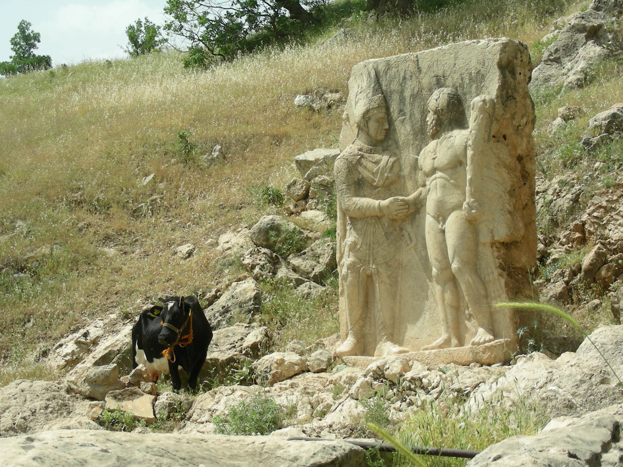 Arsameia, Relief Mithradates I.
