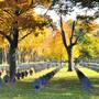 2013-10-15_-_zentralfriedhof-118s.jpg