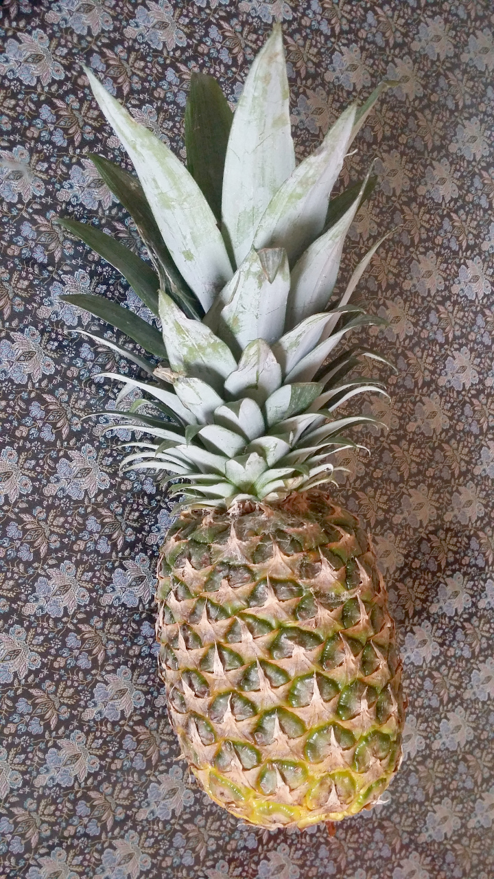 blog:2014-09-20-meine-ananas:2014-09-20-ananas-1.jpg