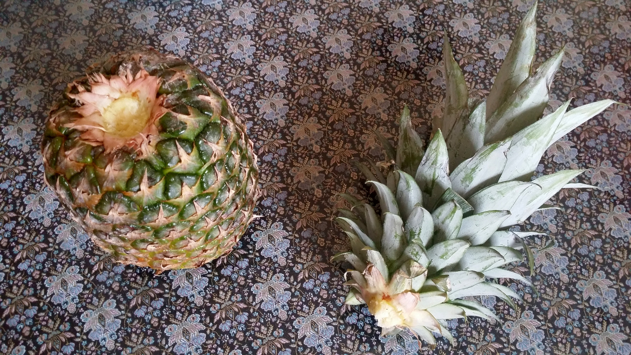 blog:2014-09-20-meine-ananas:2014-09-20-ananas-2.jpg