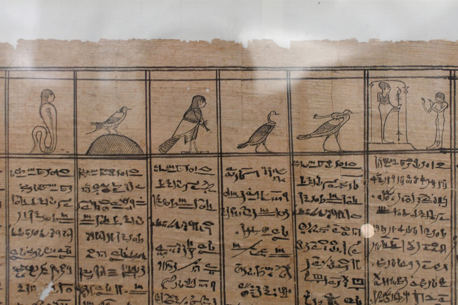 blog:2018-11-17-texte-aus-ferner-zeit:2018-11-17-wien-papyrusmuseum-058b.jpg