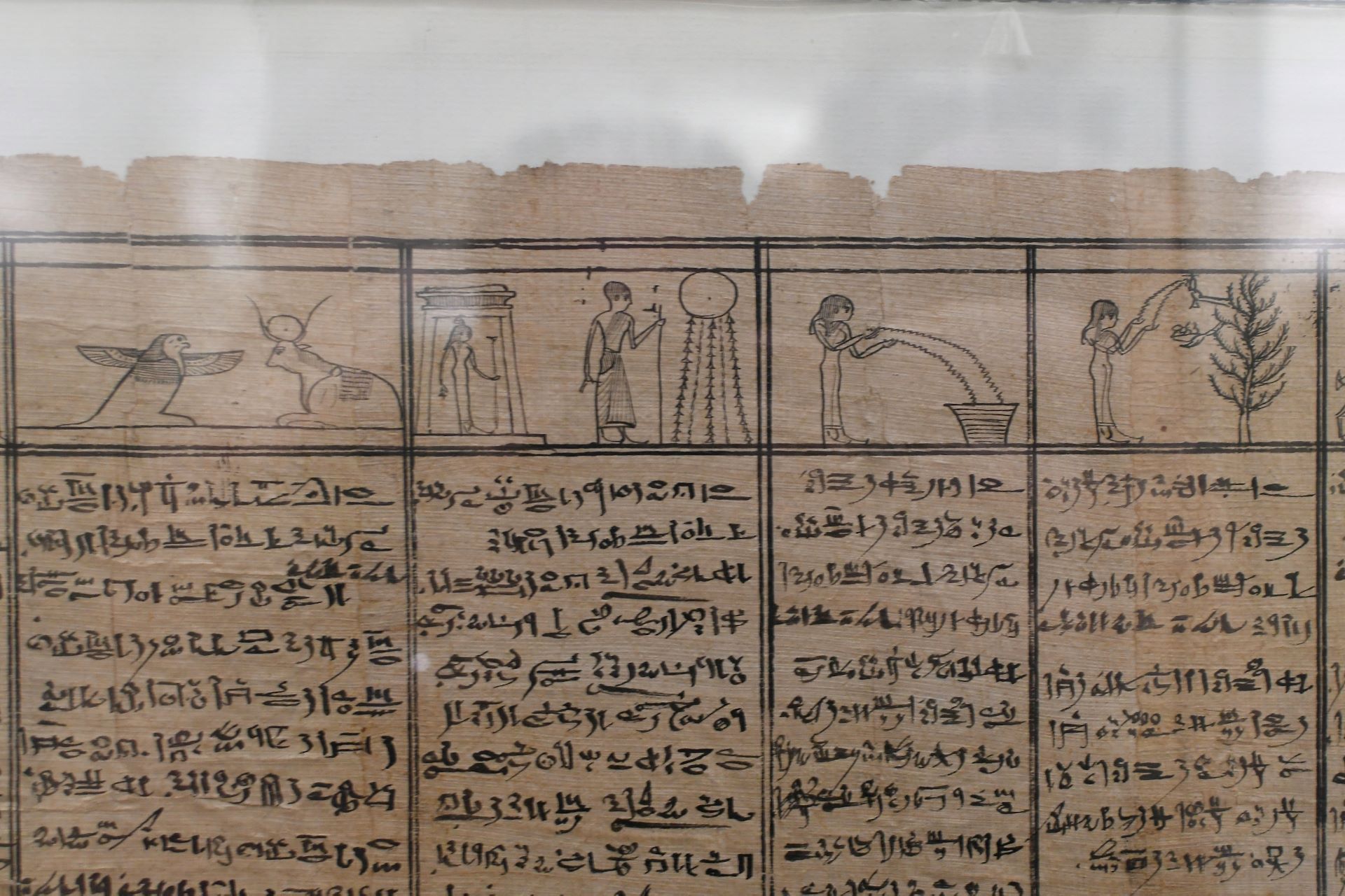 blog:2018-11-17-texte-aus-ferner-zeit:2018-11-17-wien-papyrusmuseum-059b.jpg