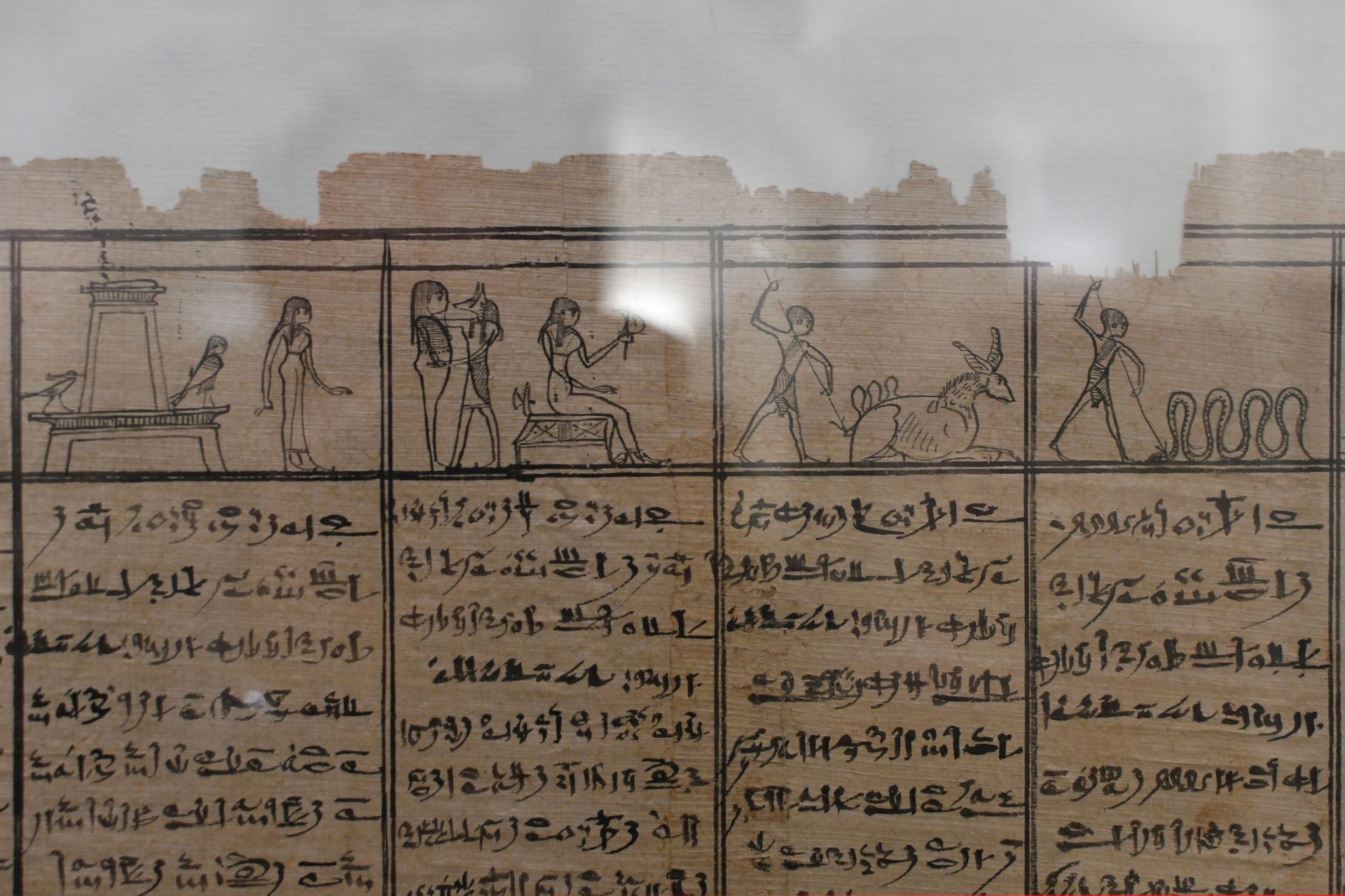 blog:2018-11-17-texte-aus-ferner-zeit:2018-11-17-wien-papyrusmuseum-060b.jpg