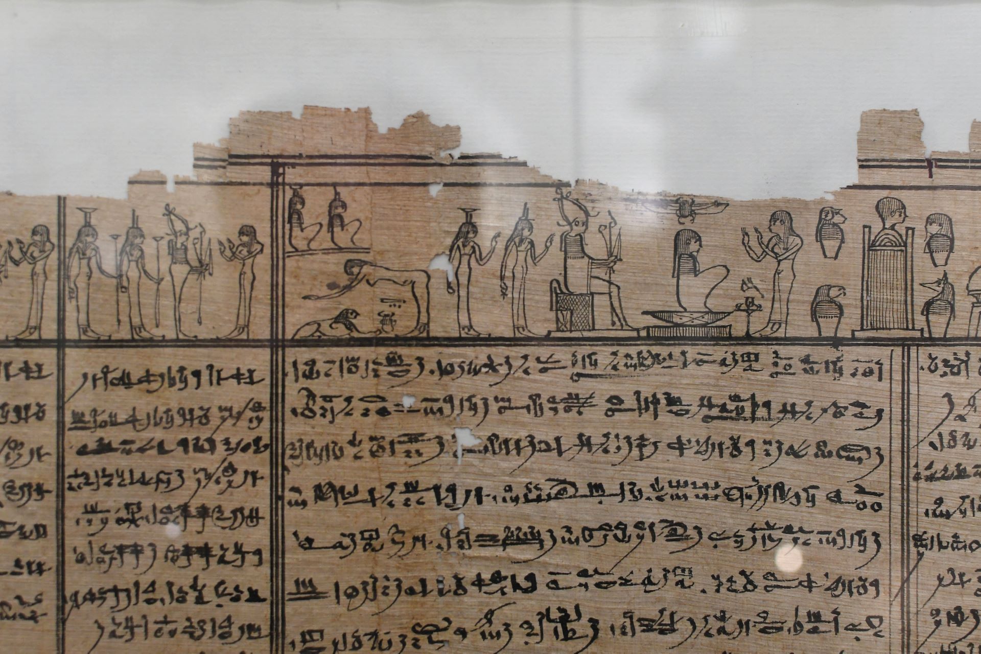 blog:2018-11-17-texte-aus-ferner-zeit:2018-11-17-wien-papyrusmuseum-061b.jpg
