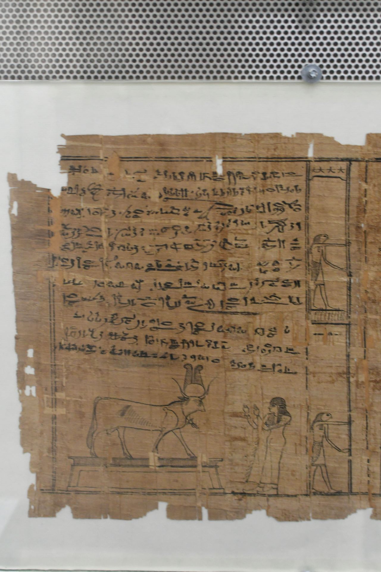 blog:2018-11-17-texte-aus-ferner-zeit:2018-11-17-wien-papyrusmuseum-068b.jpg