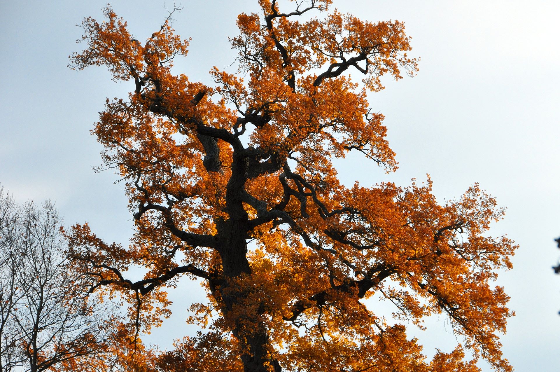 Wunderschöner Schlosspark von Lednice in Herbstfarben