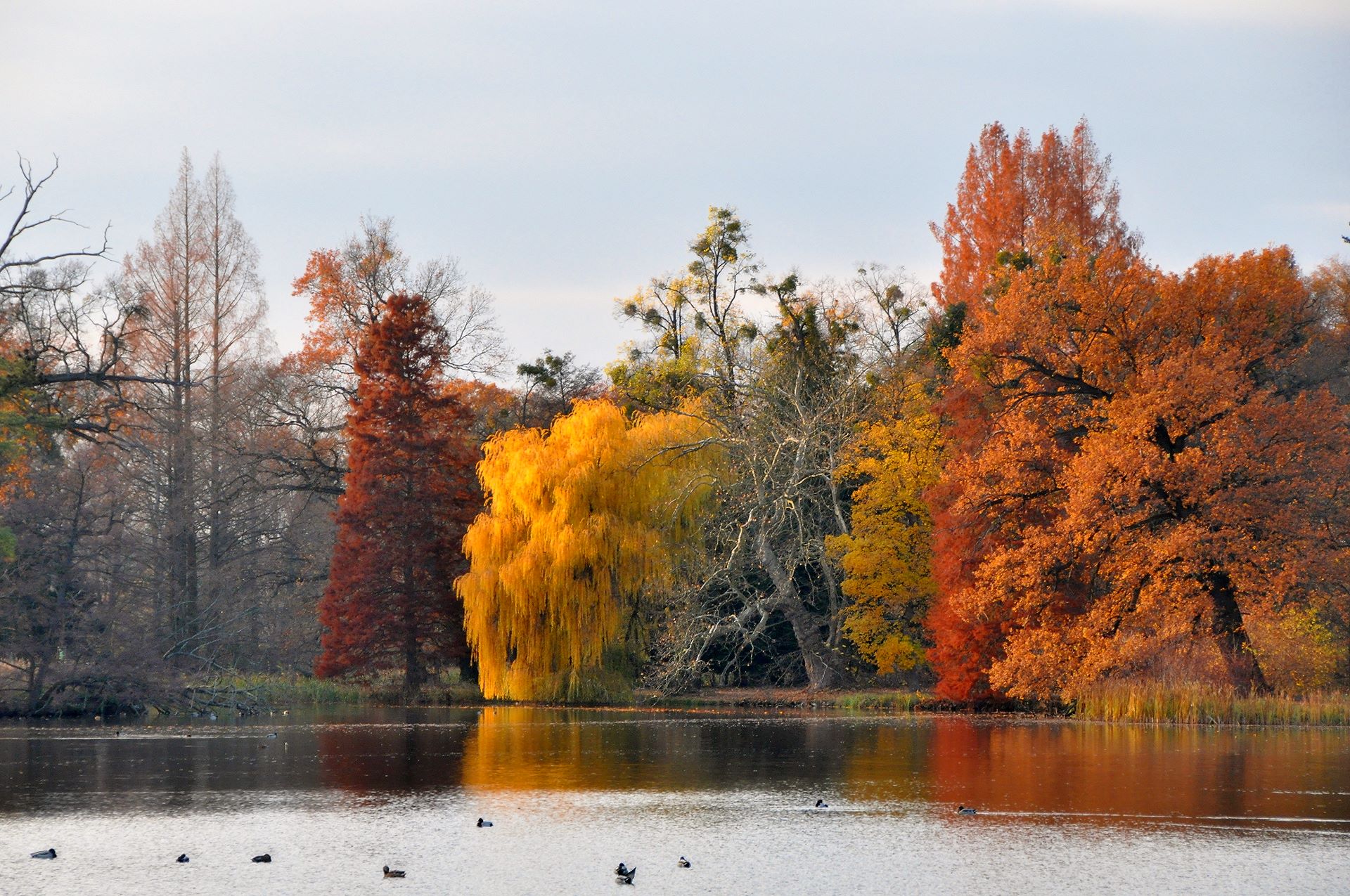 Herbst im Schlosspark Lednice
