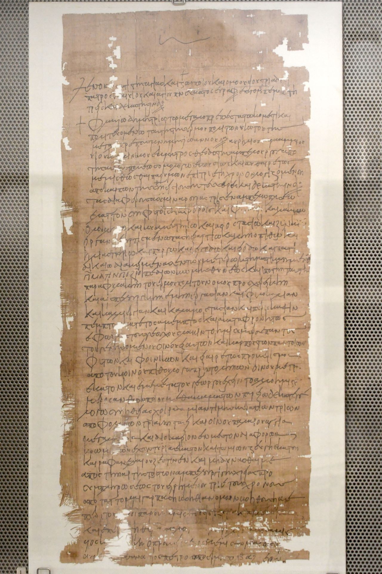 Pachtvertrag für Weingarten (Ägypten, 7. Jhdt., Griechisch)