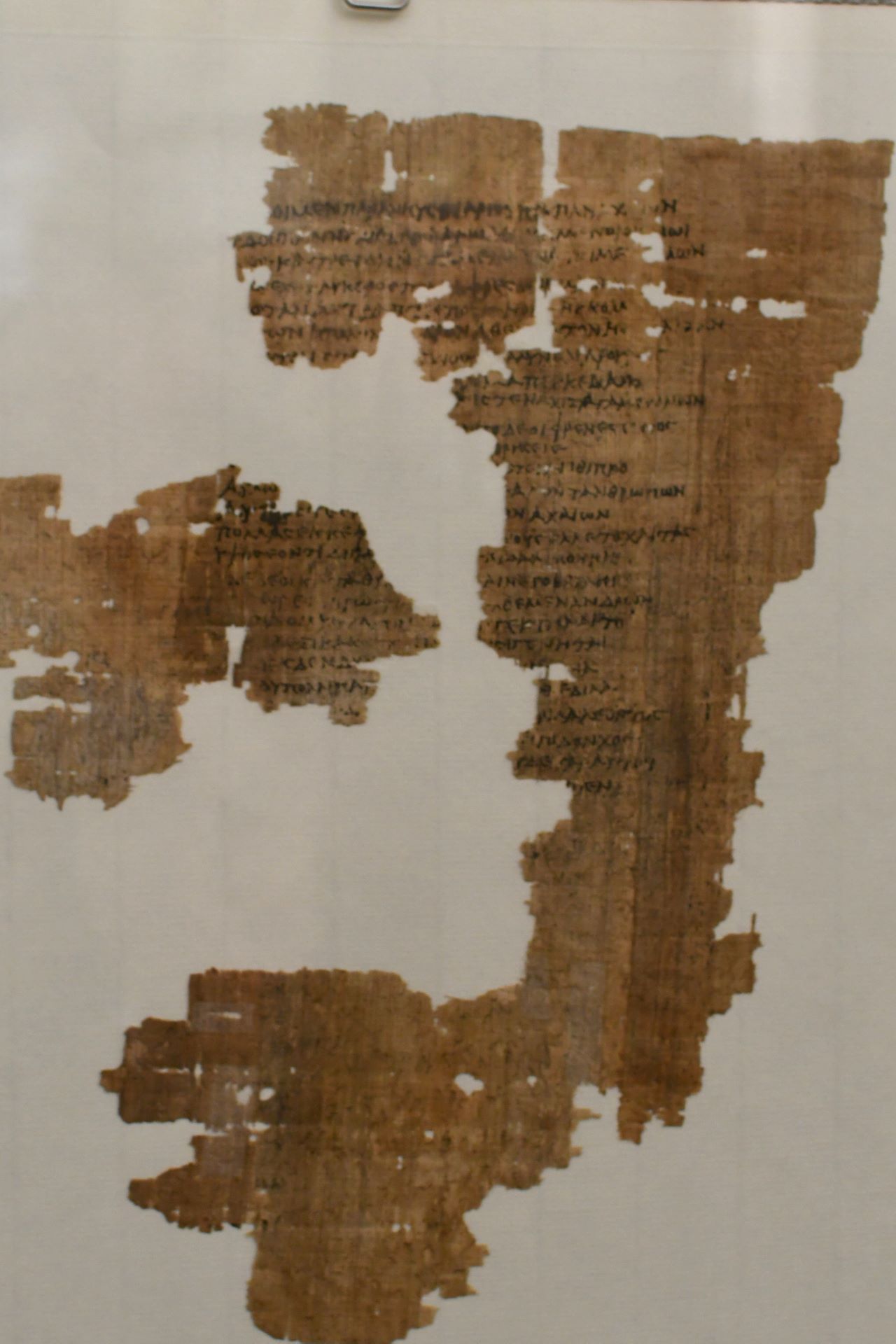 Homer 10. Buch der Illias, private Abschrift (Ägypten, Griechisch, 1. Jhdt.v.Chr.)